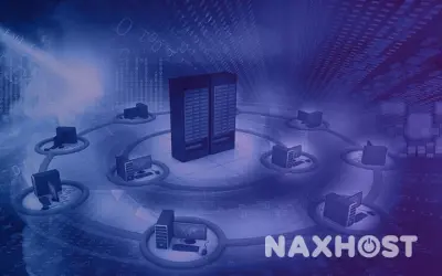 Questions to Ask Before Buying Web Hosting